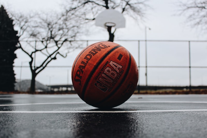 NBA总决赛凯尔特人夺冠